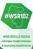 Обучающиеся лицея посетили WorldSkillsRussia